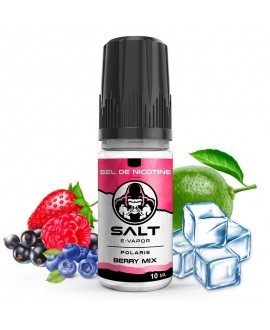 Berry Mix [Salt E-Vapor]