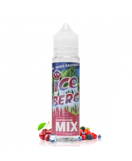 Electro Fun MIX 50ml [IceBerg]